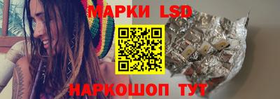 a pvp Гатчина