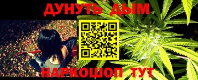 a pvp Гатчина