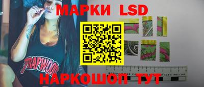 a pvp Гатчина