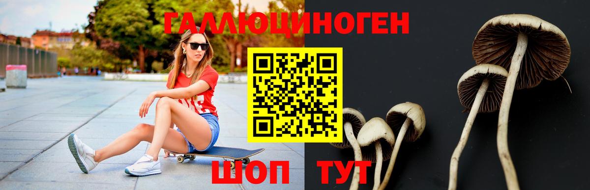 Пугачёв  Галлюциногенные грибы Psilocybe  Вход с VPN  Галлюциногенные грибы Psilocybine cubensis 